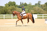 SBM_009013
