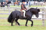 SBM_08499