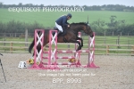 BPP_8993