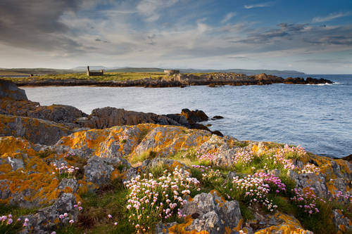 St. Michael's Isle with its 12th Century Chapel and the Derby Fort framed by the beautiful colours of the thrift and…