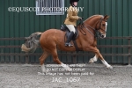 JAC_1067