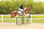 SBM_005200