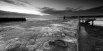 Pier black and white