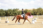 SBM_009346