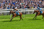 150723-Race 2-Nymphadora-8608