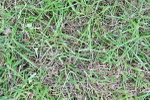 SBM_03936