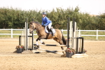 SBM_000984