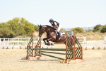 SBM_003953
