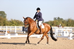 SBM_01603