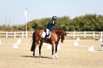 SBM_017316