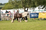 SBM_08762