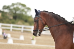 SBM_008629
