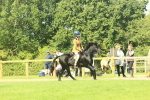 SBM_66512