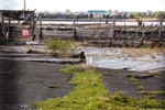 Landing Stage Princes Dock
