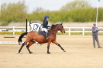 SBM_003627