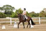 SBM_006367