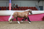 SBM_17448