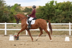 SBM_011914
