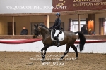 BPP_9133
