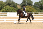 SBM_004925