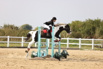 SBM_03860