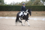 20260816-0323
