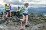 Loughrigg-529