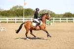 SBM_000348