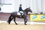 SBM_000691