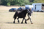 WJ6_4658
