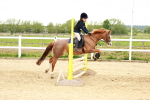 SBM_008564