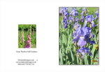 014 Thurlow Hall Gardens - Irises