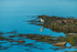 Heron at Bantry Bay in County Cork