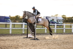 SBM_003961