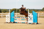 SBM_003273