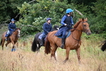 WJ6_2251