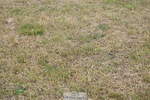 250830A-133638-06220