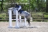 BPP_6676