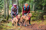Glentress-2410
