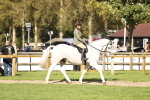 SBM_26334