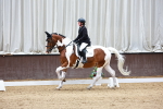 SBM_001667