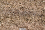 260731A-161659-02461