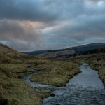 river tweed 1/2 mile from its source