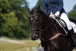 139-Jasmine_Mumford-Northcountry_George portfolio