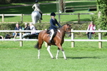 SBM_47140