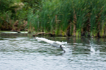 20140906-3K8A5529