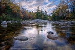 Autumn Reflections