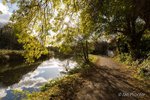 Lagan Towpath