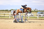 SBM_002831