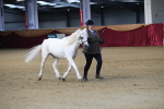 SBM_00280